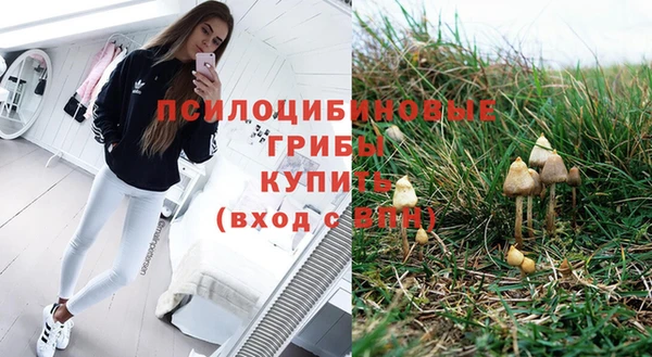 каннабис Алексеевка